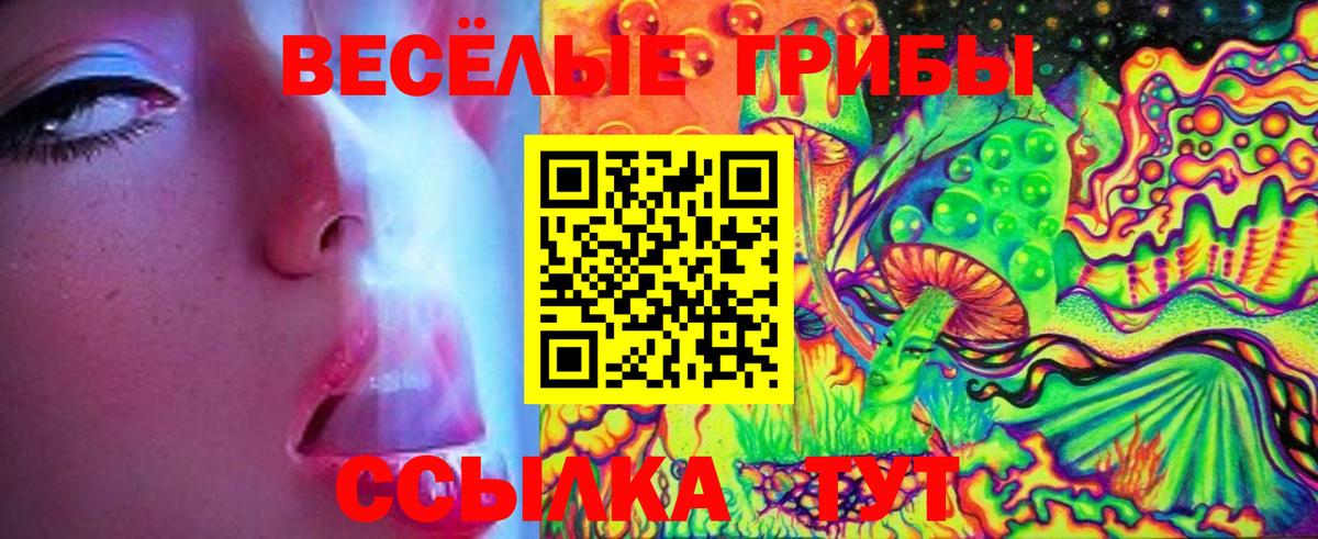 Псилоцибиновые грибы Psilocybine cubensis  Псилоцибиновые грибы Magic Shrooms  Урюпинск  Вход с VPN 